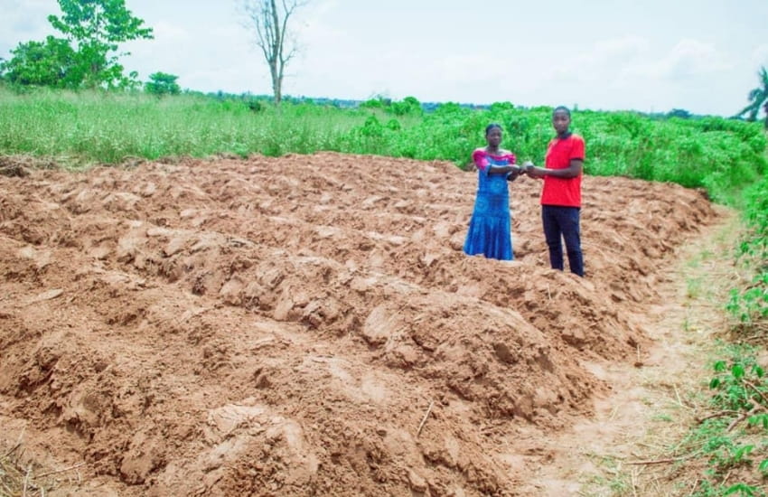 Farming Empowerment Project, November 2025