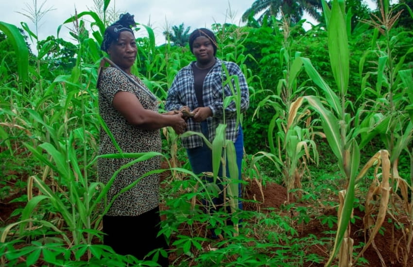 Farming Empowerment Project